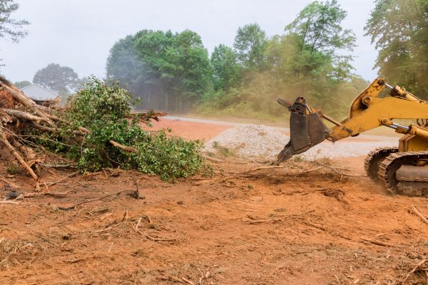 Ground Clearing in Foley