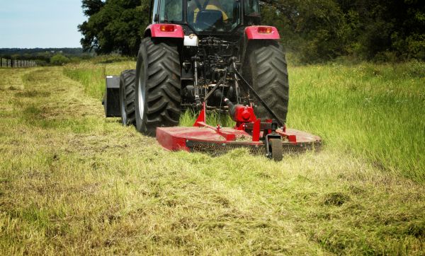 Brush Clearing Service in Foley