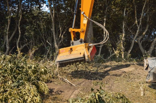 Brush Removal Service in Foley