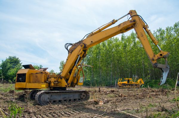 Cost of Farm Clearing in Foley