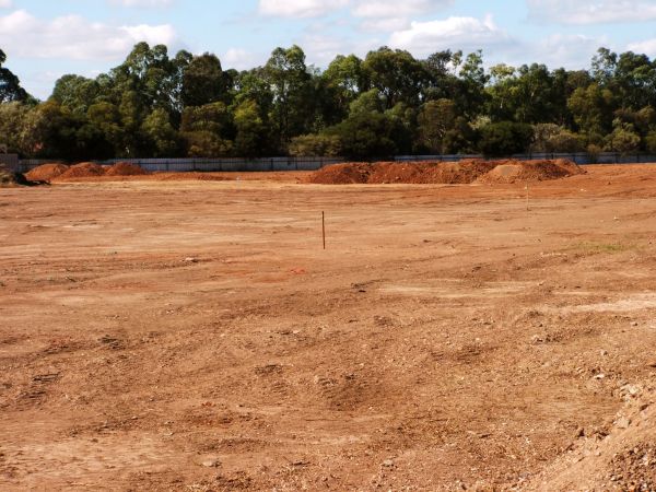 Cost of Field Clearing in Foley