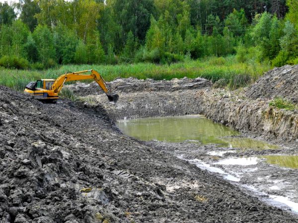 Cost of Lake Lot Clearing in Foley