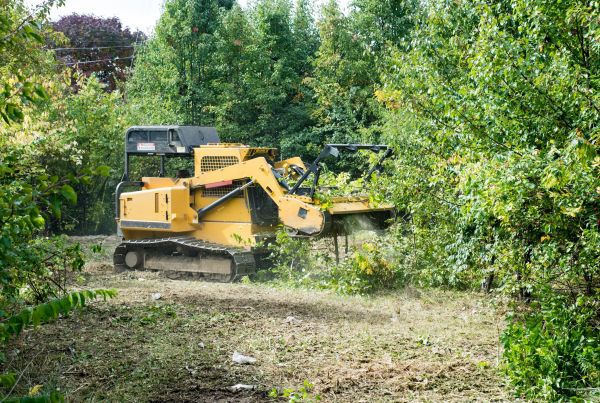 Cost of Pathway Clearing in Foley