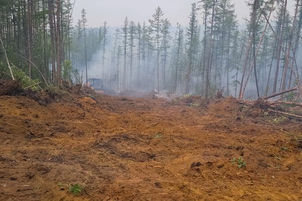 Cost of Hill Clearing in Foley