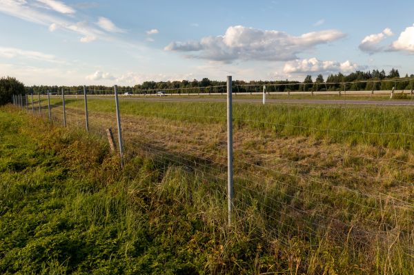Cost of Property Line Clearing in Foley