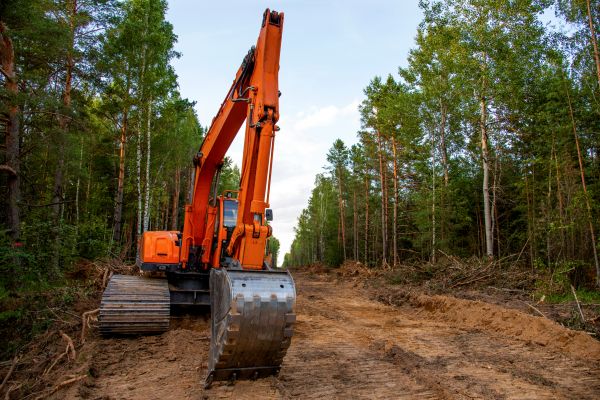 Cost of Backhoe Land Clearing in Foley