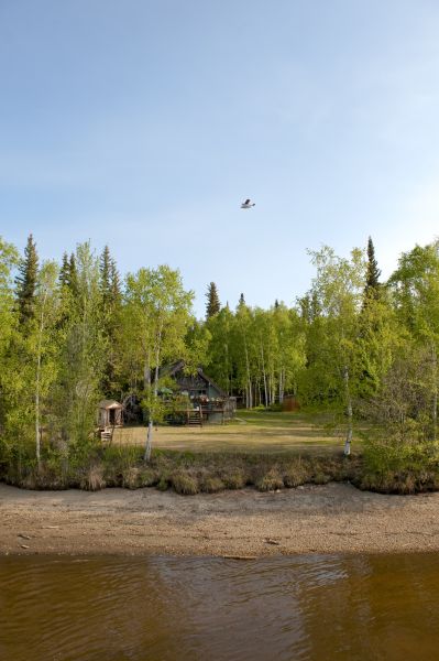 Cost of Waterfront Land Clearing in Foley