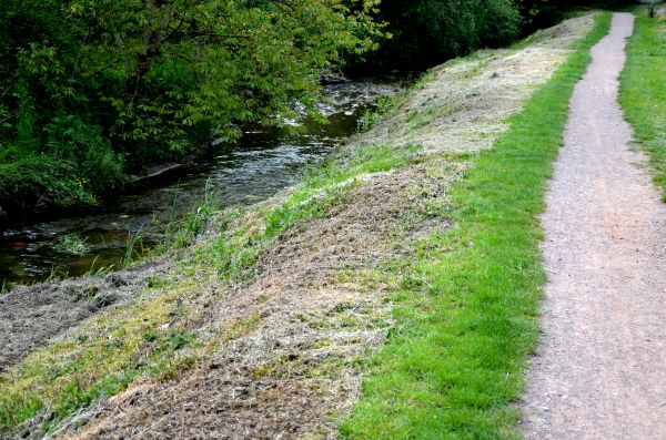 Cost of Trail Cutting in Foley